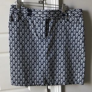 Ann Taylor skirt